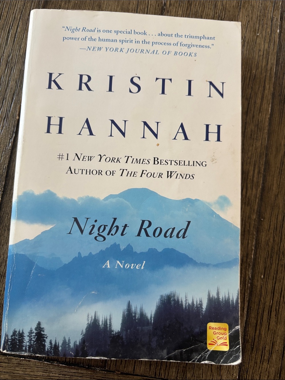 Kristin Hannah "Night Road" Paperback